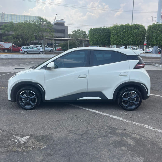 Auto Sustituto X 15 días