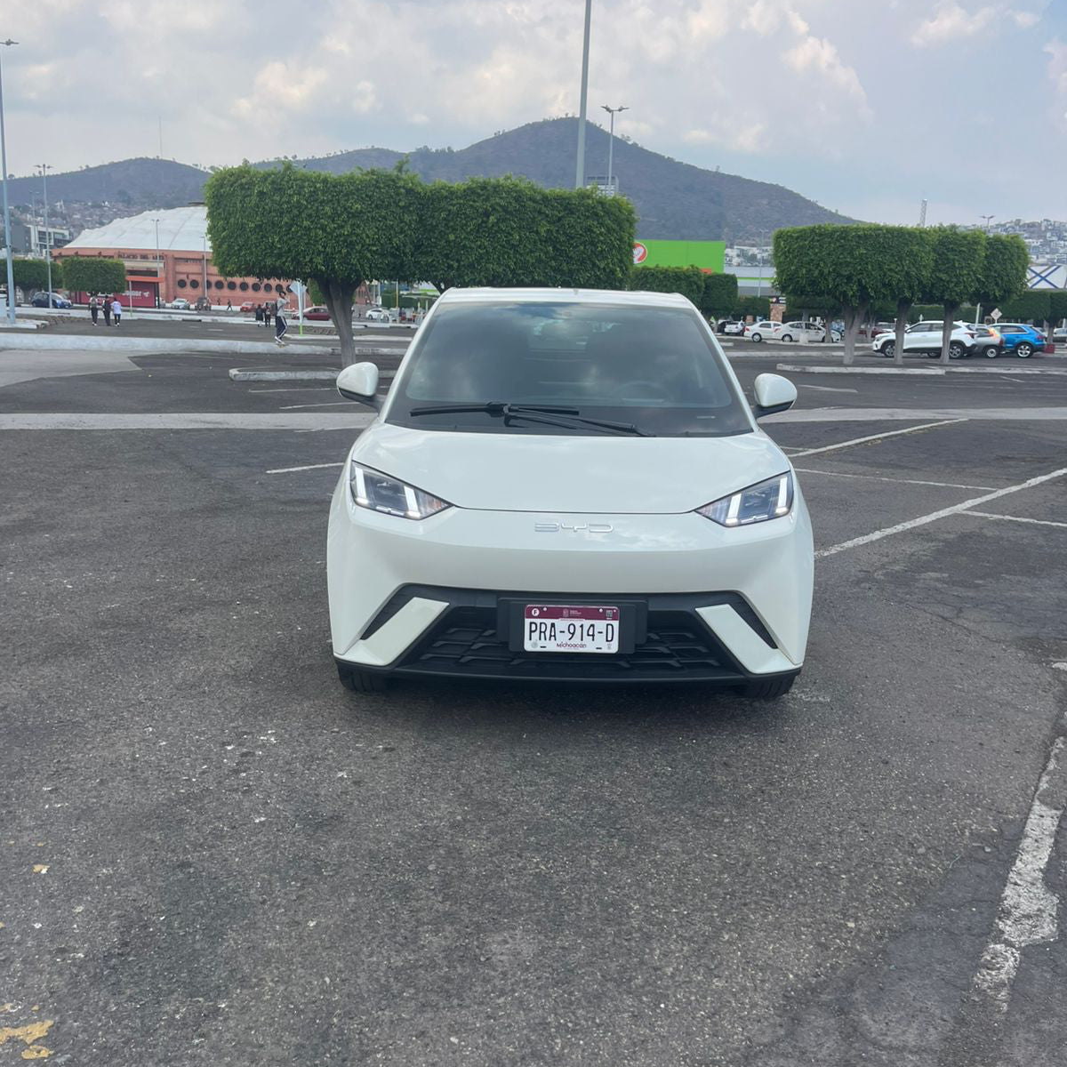 Auto Sustituto X 30 días