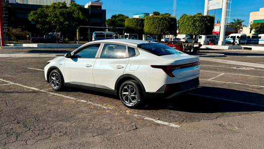 Auto Sustituto X 30 días