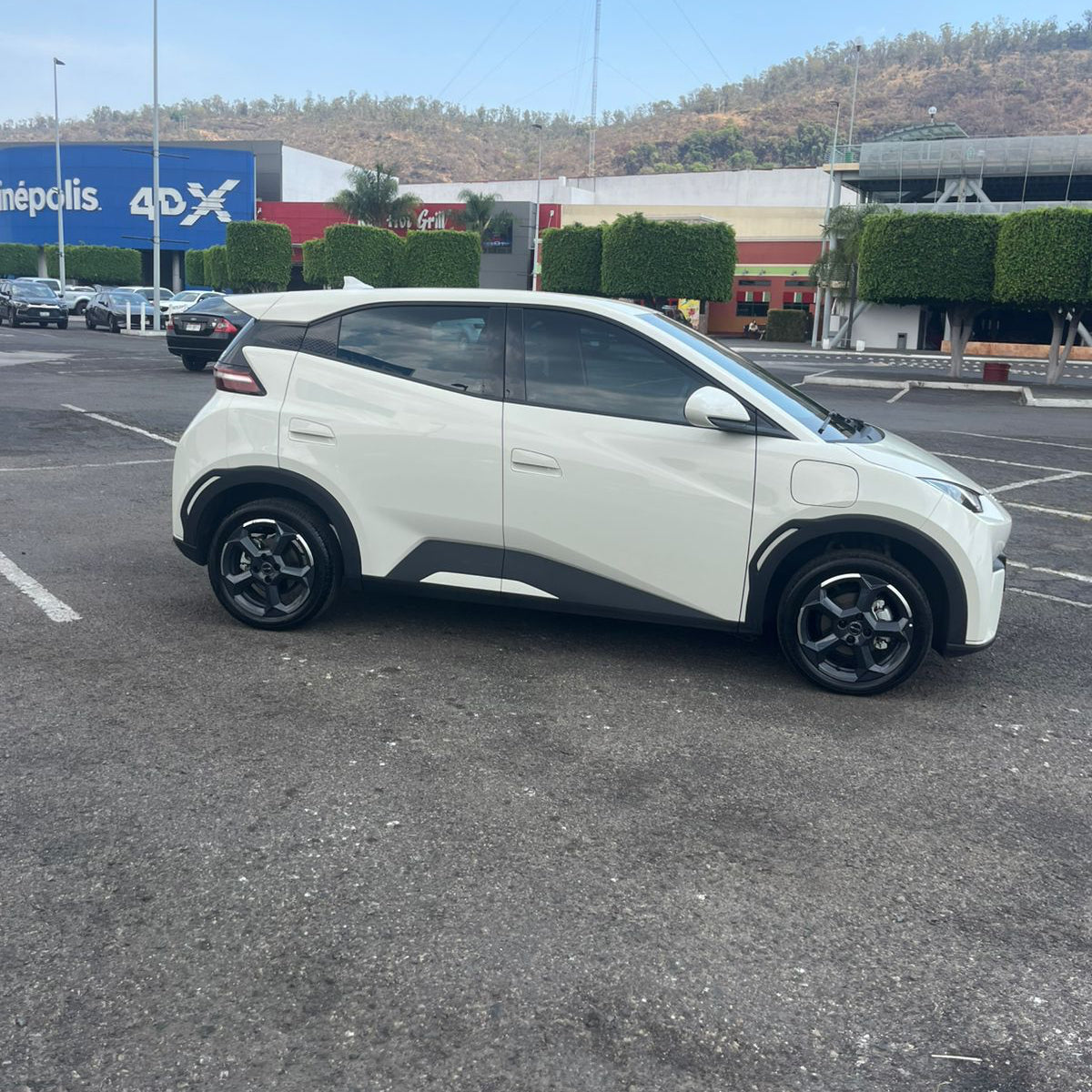 Auto Sustituto X 15 días
